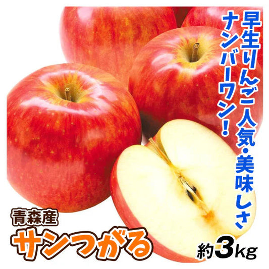 りんご 青森産 サンつがる 約3kg