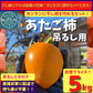 【11月から発送】【高級デザートを手作り】　高級干柿にも使われる渋柿　愛媛県産　愛宕柿　小中玉　5Kg