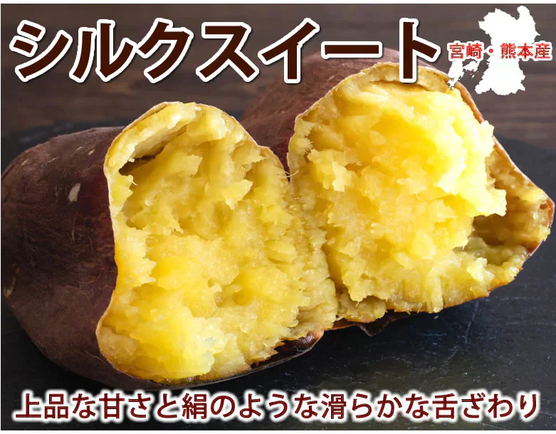 【10月下旬～11月上旬頃より順次出荷】さつまいも シルクスイート 訳あり 1.5kg 送料無料 熊本・宮崎県産 サツマイモ 春こがね 紅まさり 焼き芋 芋