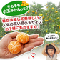 【大容量】熊本県産 訳あり 小玉 みかん 9kg 熊本 送料無料 小玉みかん ミカン フルーツ お取り寄せ 柑橘 フルーツ 果物   《9月中旬-10月中旬頃より発送予定》