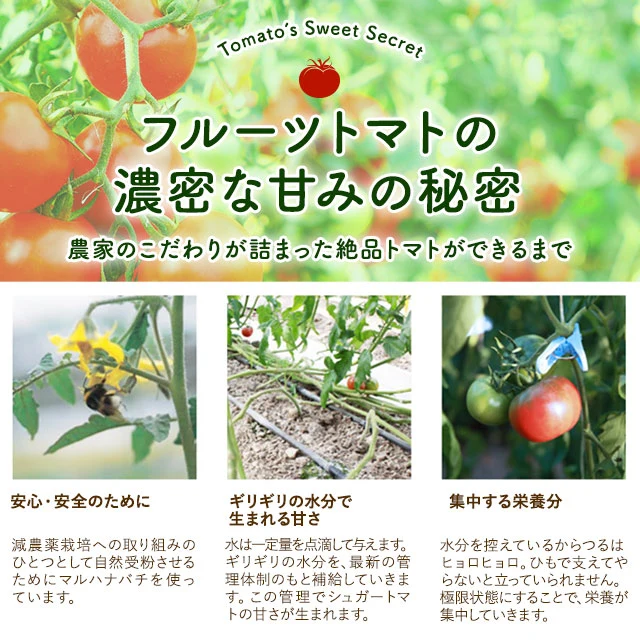 高知県日高村のフルーツトマト入りスープ25包 個包装 送料無料