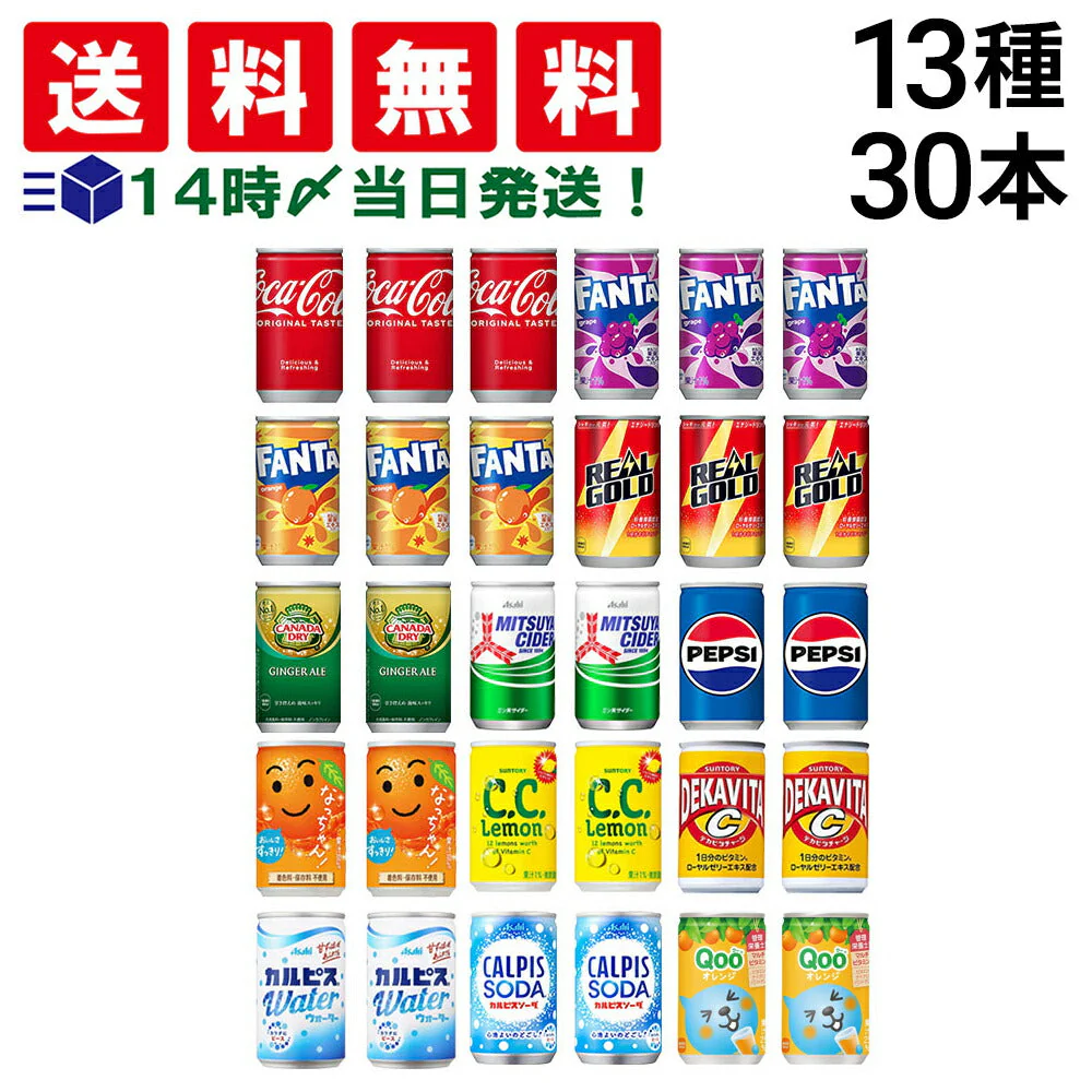 【 送料無料 】 炭酸飲料 缶ジュース ミニ缶 160ml 13種 A 計30本 詰め合わせ アソート セット まとめ買い