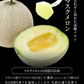 九州産 マスクメロン 2Lサイズ 秀品 1玉 約1.2kg 送料無料 熨斗対応 ギフト プレゼント メロン 贈答 フルーツギフト 贈り物  《1-5営業日以内に出荷予定（土日祝除く）》