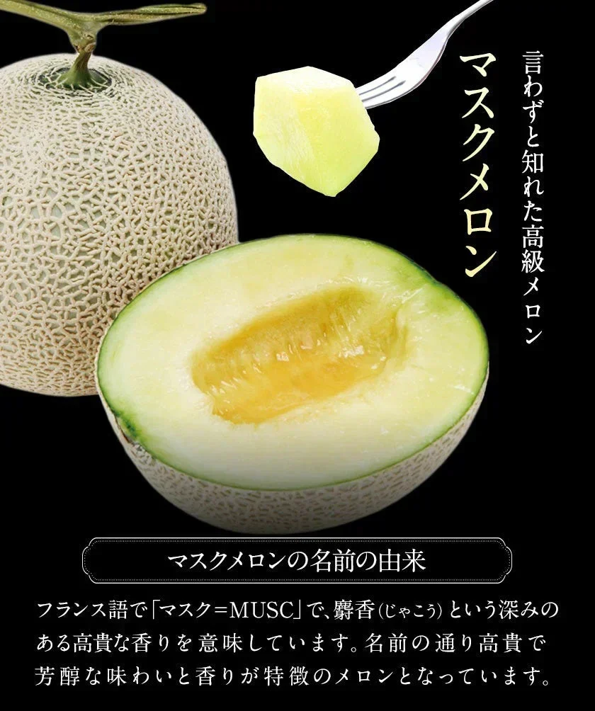 九州産 マスクメロン 2Lサイズ 秀品 1玉 約1.2kg 送料無料 熨斗対応 ギフト プレゼント メロン 贈答 フルーツギフト 贈り物  《1-5営業日以内に出荷予定（土日祝除く）》