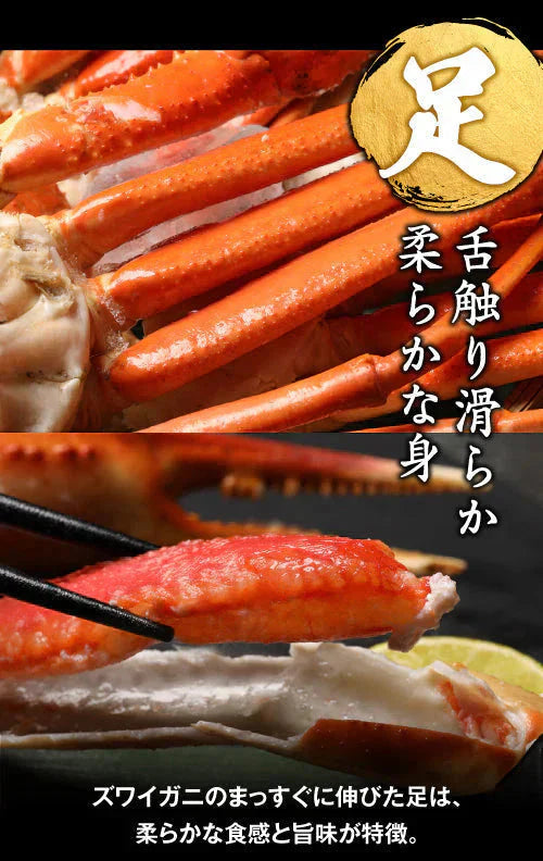 送料無料  ズワイ ずわい 蟹 かに カニ  ズワイガニ 4L 5L 約2kg(正味1.6kg、4肩〜6肩入)ロシア産・ノルウェー産
