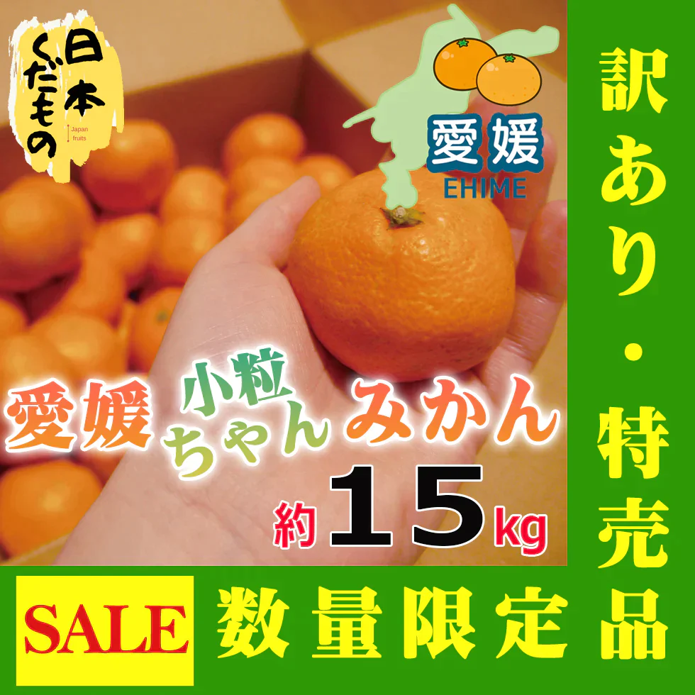 愛媛県産 みかん 小粒ちゃん 15kg 訳あり家庭用 柑橘