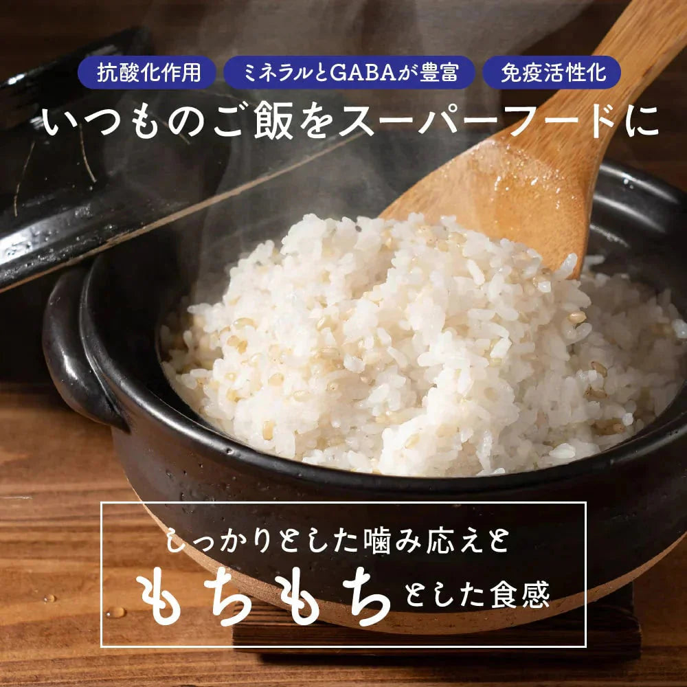 雑穀 雑穀米 国産 緑米 4kg(400g×10袋) 徳用サイズ 無添加 無着色 送料無料 古代米 みどりまい