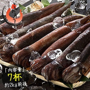 するめいか 7杯（約2kg前後） 日本海産 スルメイカ［送料無料］ いか イカ スルメイカ するめいか スルメ 冷凍イカ 刺身用 美味しい 刺身 刺し身 海鮮 贈り物 食品 食べ物 母の日 プレゼント ギフト  母の日思いの 健康 実用的 父の日 子供 孫 ※ポスト投函商品の発送は1～2週間前後になります