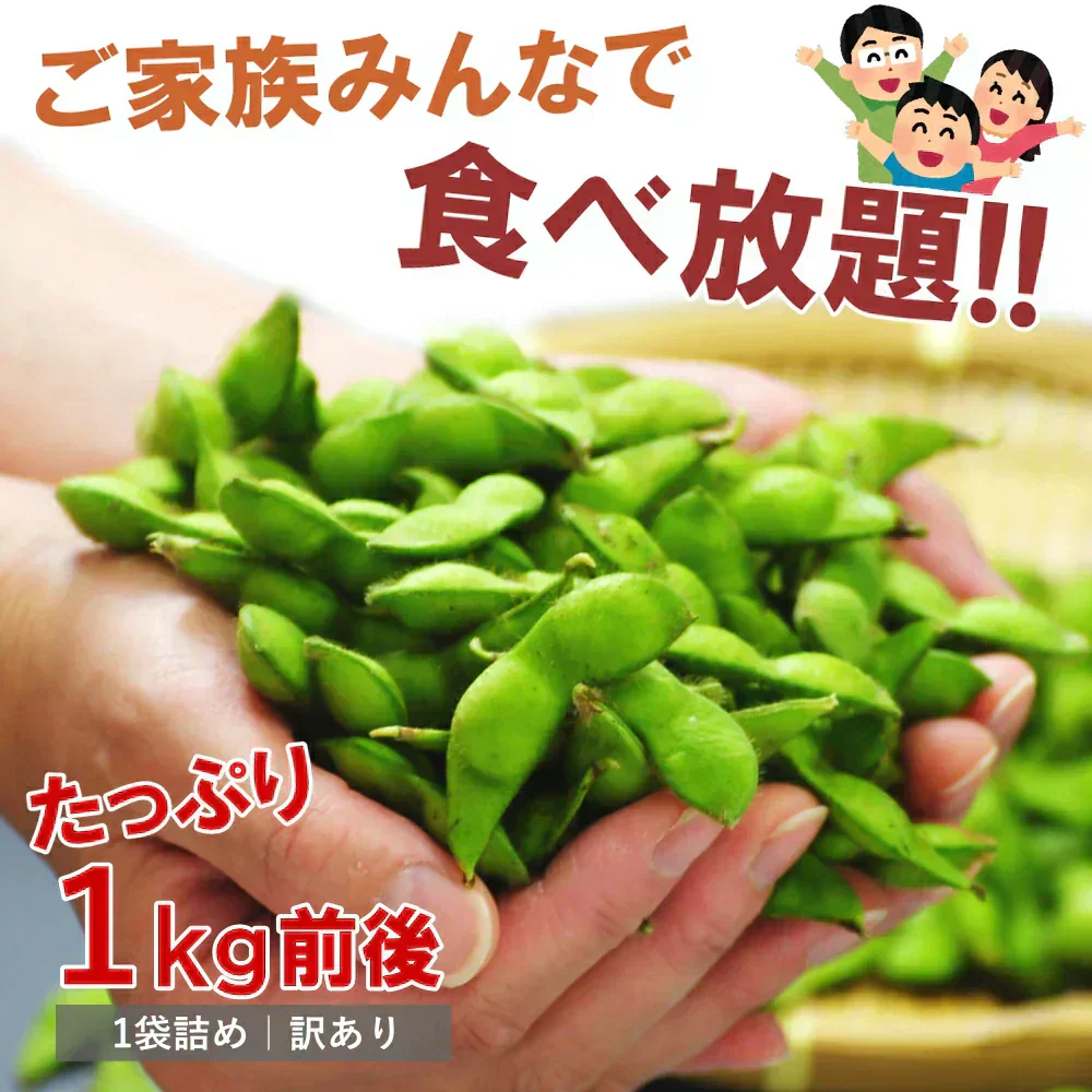 【8月中旬-9月上旬頃発送】訳あり 枝豆 だだちゃ豆 約1kg ご家庭用 えだまめ エダマメ まめ マメ 産地直送 冷蔵便