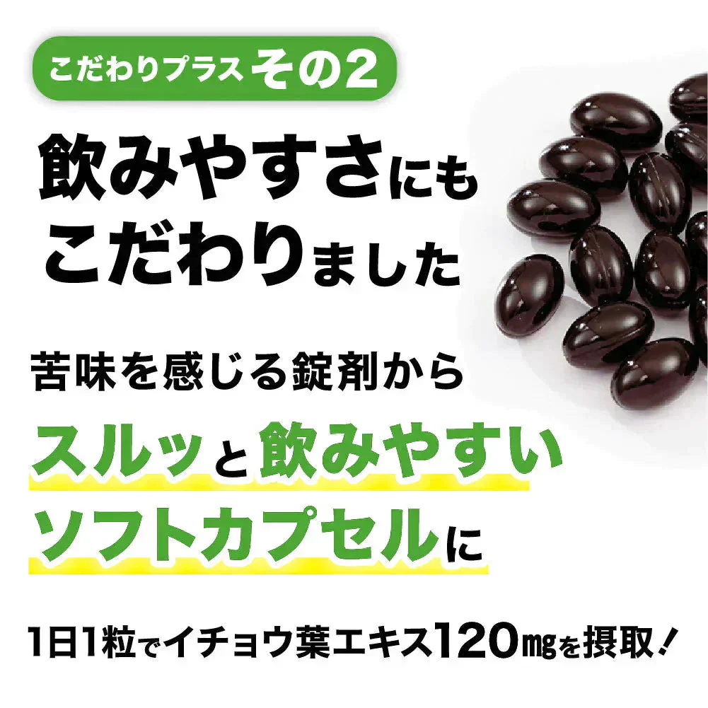イチョウ葉エキス（約1ヶ月分）イチョウ葉　サプリメント DHA EPA