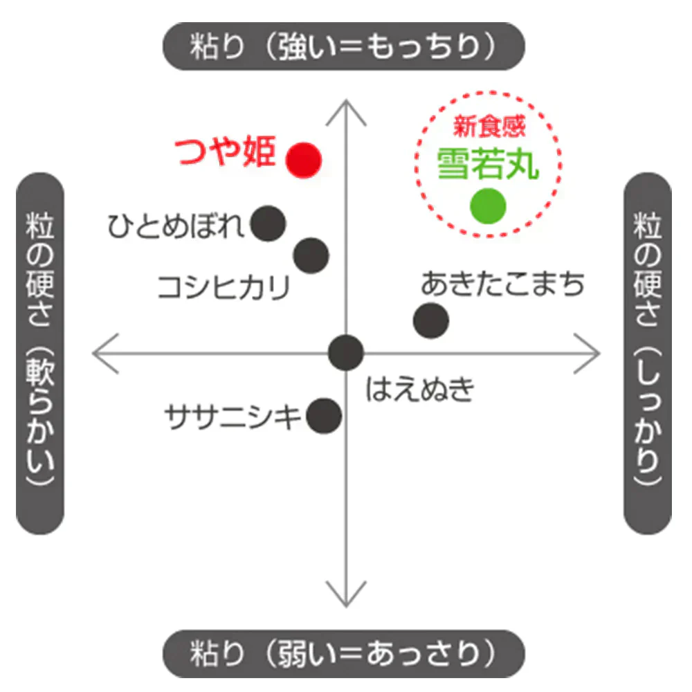 米 10kg つや姫  精米 山形県産 送料無料 ギフト 令和6年産 単一原料米 ブランド米 こめ コメ 白米 産地直送 kkb-003
