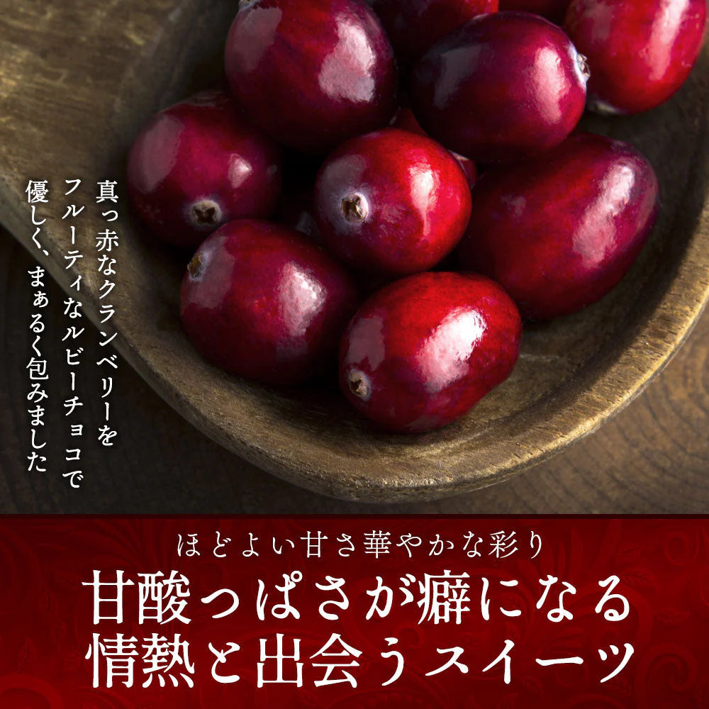 【チョコ常温販売期間終了】  チョコレート チョコ 　ルビーチョコ掛けクランベリー Rubi de Cranbery 200g ルビーチョコ 第4のチョコレート スイーツ ドライフルーツ クランベリー 大量 業務用