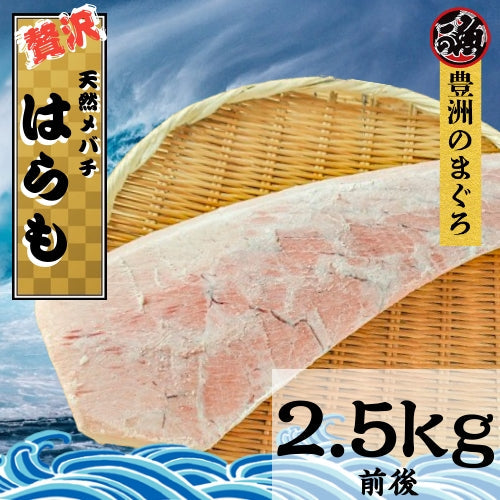希少部位　ハラモ 2.5kg　天然 まぐろ メバチ 海鮮 刺身 照り焼き 塩焼き 煮物