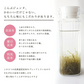 [業務用]こんぶジェンヌ　Konbu jenne 35g×10袋 刻み昆布 業務用　真昆布 羅臼昆布 利尻昆布