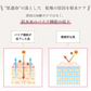 ヒアルロン酸スキンローション plus 600ml◆ 化粧水 おすすめ 潤い 美白 大容量 お徳用 スキンケア メンズ 男女兼用 無添加 無香料 乾燥肌 敏感肌 保湿 敬老の日 母の日 福袋