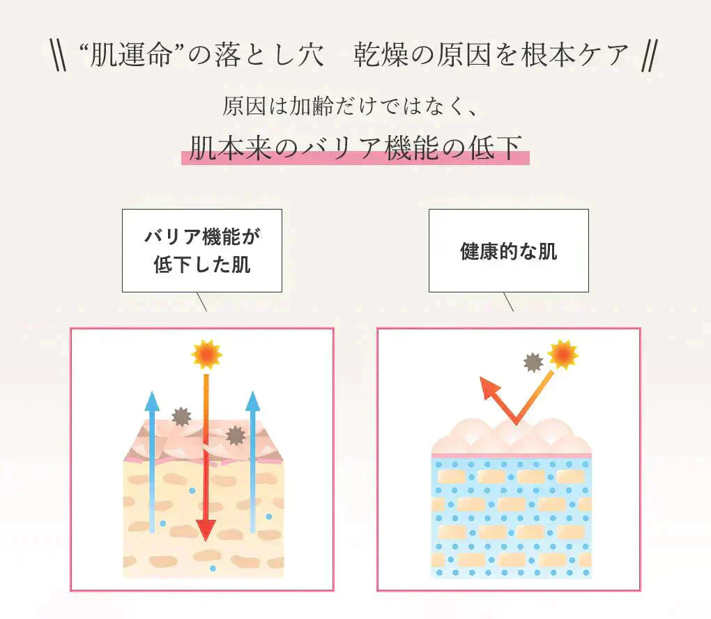 ヒアルロン酸スキンローション plus 600ml◆ 化粧水 おすすめ 潤い 美白 大容量 お徳用 スキンケア メンズ 男女兼用 無添加 無香料 乾燥肌 敏感肌 保湿 敬老の日 母の日 福袋