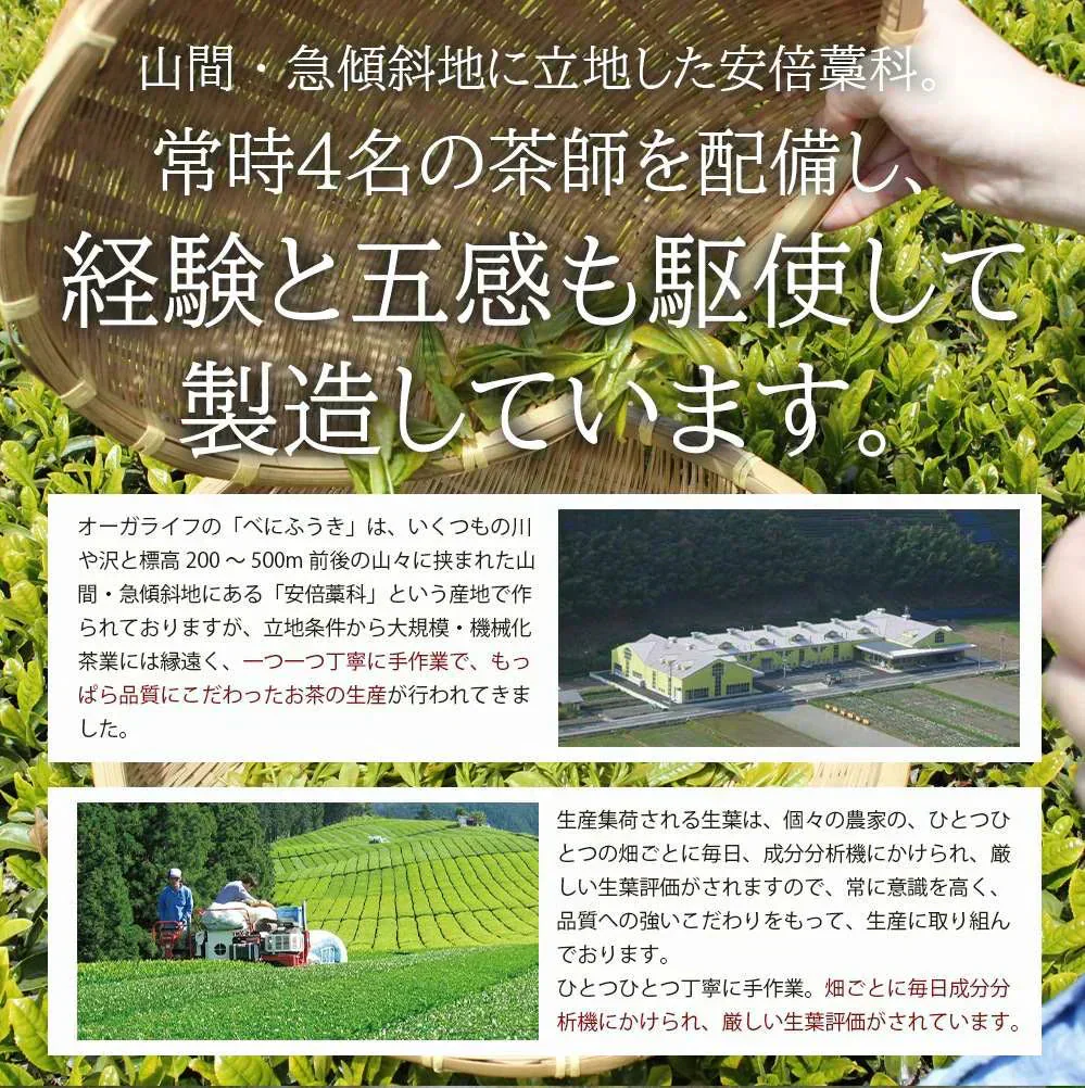 べにふうき茶 ペットボトル 350mlx24本 高濃度 メチル化カテキン 緑茶 農水大臣賞・日本農業賞受賞 静岡県産 べにふうき 花粉対策 花粉症 お茶