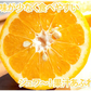 【2月下旬～3月上旬頃より順次出荷】甘夏 みかん 訳あり 10kg 箱込 (内容量9kg+補償500g)  送料無料 サイズ無選別 熊本県産 あまなつ 川野夏橙 蜜柑