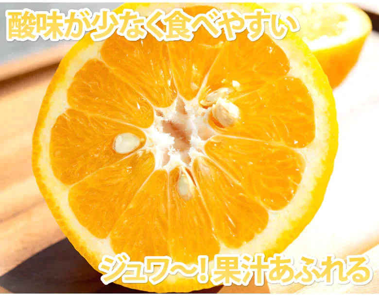【2月下旬～3月上旬頃より順次出荷】甘夏 みかん 訳あり 10kg 箱込 (内容量9kg+補償500g)  送料無料 サイズ無選別 熊本県産 あまなつ 川野夏橙 蜜柑
