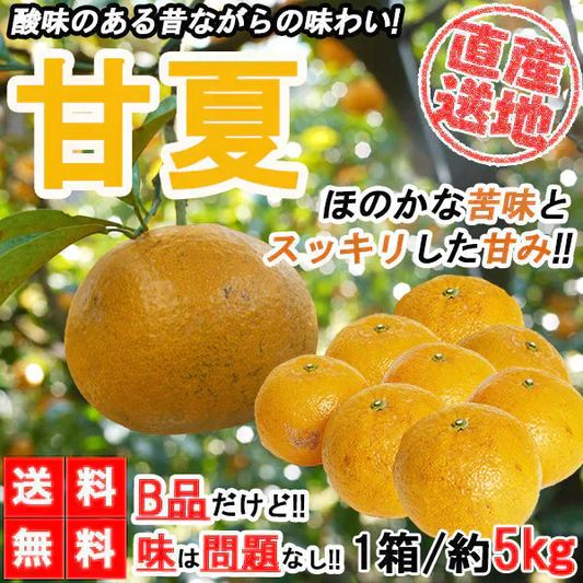 甘夏 訳あり 5kg みかん 蜜柑 ご家庭用 箱買い B品 サイズミックス あまなつ 柑橘 フルーツ 果物 産地直送 愛媛県産 YDF-014