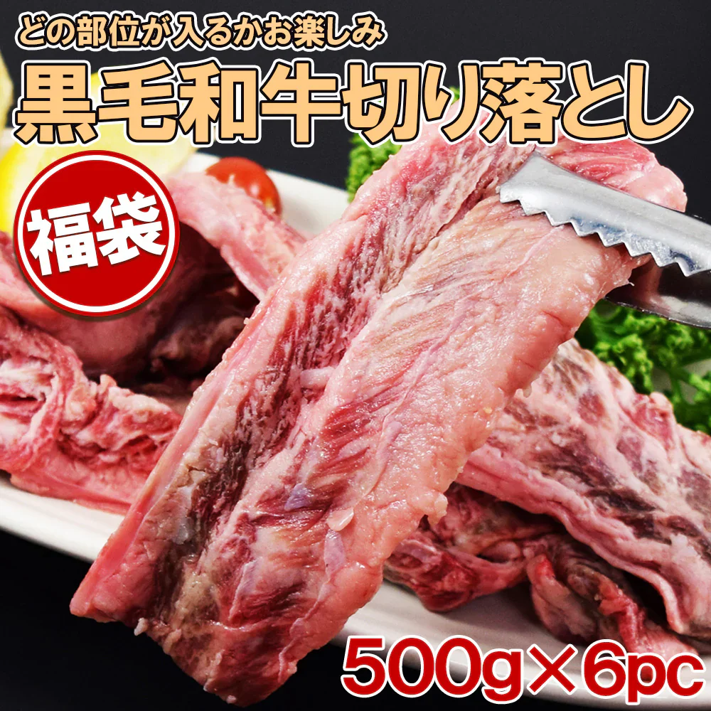 黒毛和牛切り落とし福袋 500g×6袋 3キロ 焼き肉 ステーキ 切り落とし 小肉 どの部位が入るかお楽しみ ウデ モモ ロース その他（スジ等の部位が入るか事もあります)