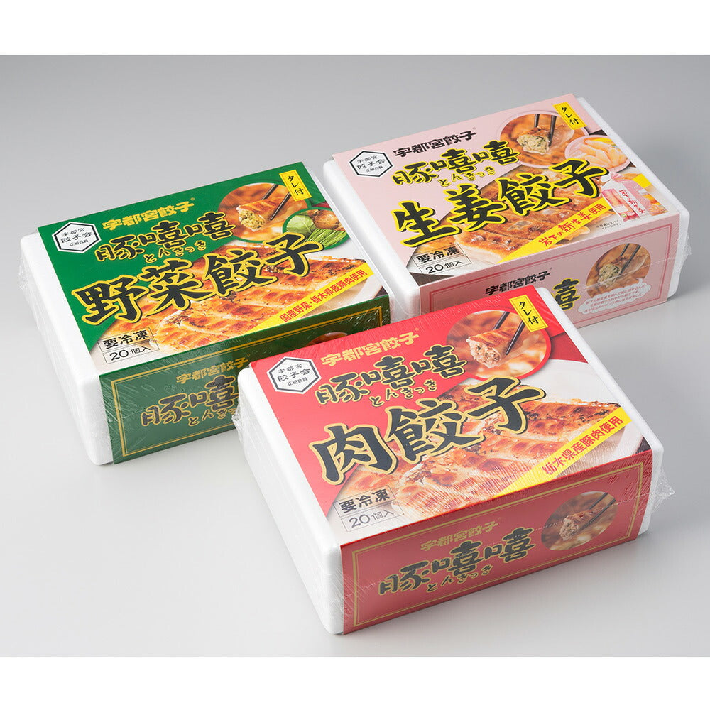 【3人シェア買いでお得】宇都宮餃子 とんきっき 肉餃子 野菜餃子 生姜餃子 各20個入り 計60個栃木県