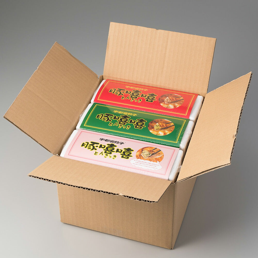 【3人シェア買いでお得】宇都宮餃子 とんきっき 肉餃子 野菜餃子 生姜餃子 各20個入り 計60個栃木県
