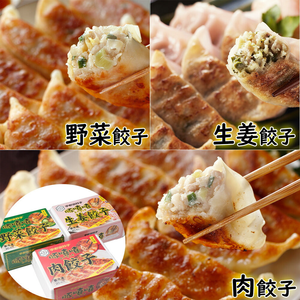 【3人シェア買いでお得】宇都宮餃子 とんきっき 肉餃子 野菜餃子 生姜餃子 各20個入り 計60個栃木県