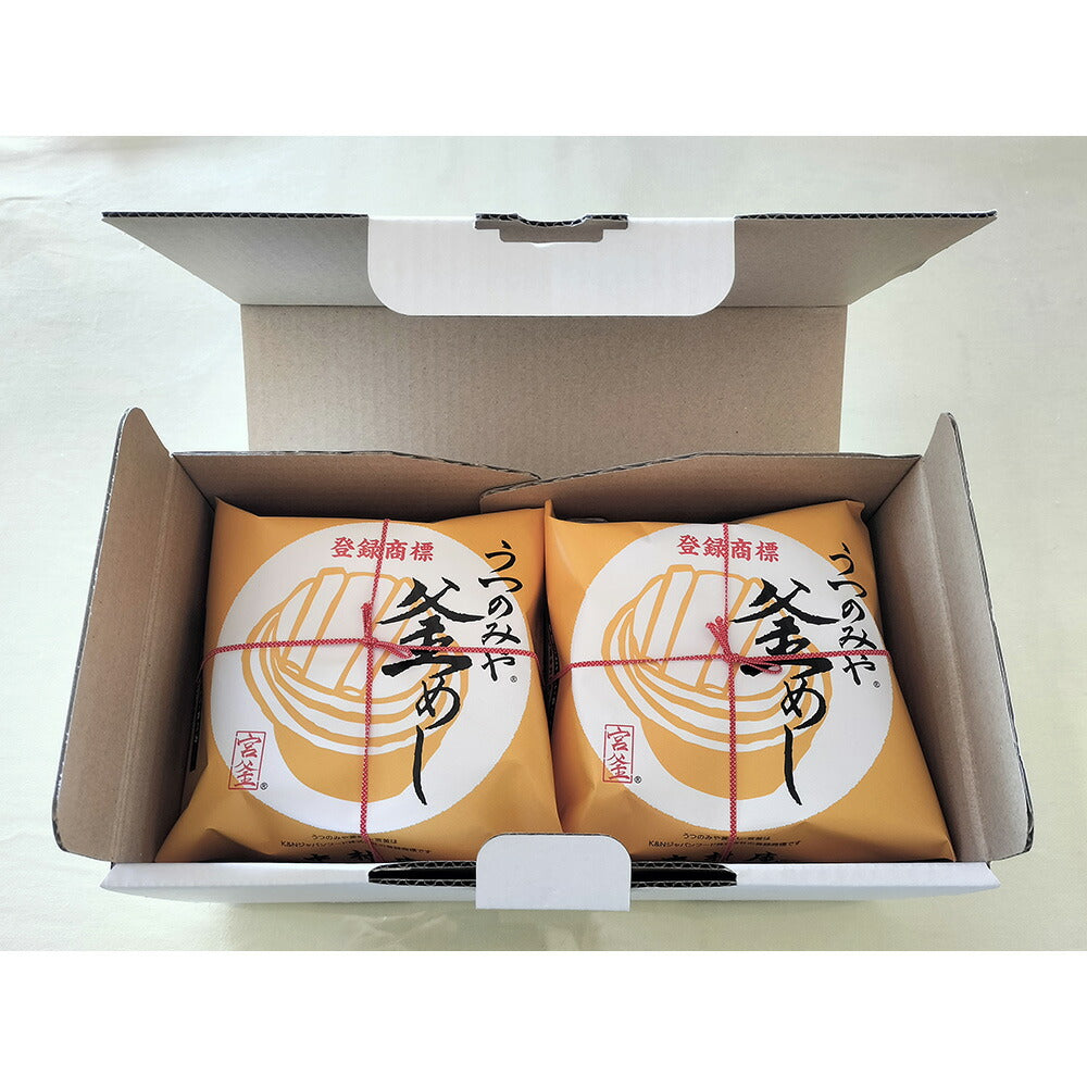 【3人シェア買いでお得】うつのみや釜めし「五目」ギフト2個セット
