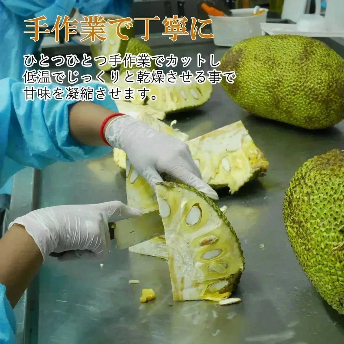 【30g】大地の生菓 無添加 ドライフルーツ ジャックフルーツ 送料無料 砂糖 保存料 不使用 お試し 製菓材料