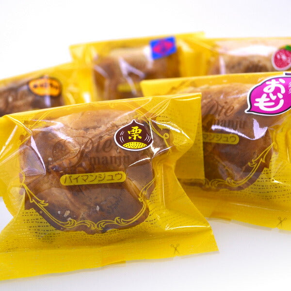 栃木県銘菓 パイまんじゅう（五つの味） 10個入り