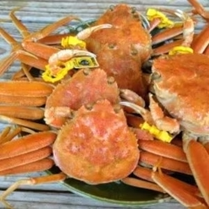 【1年で2か月しか漁ができない超希少越前ガニ！】福井県産　浜ゆで冷凍　3匹（小サイズ/1匹約100g前後）