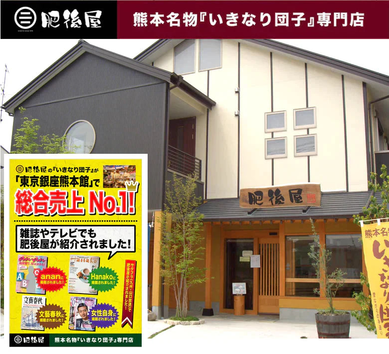 いきなり団子 送料無料 3種セット 10個入り 熊本名物 お取り寄せ 肥後屋 モチモチ食感の和スイーツ 和菓子 団子 あんこ もち