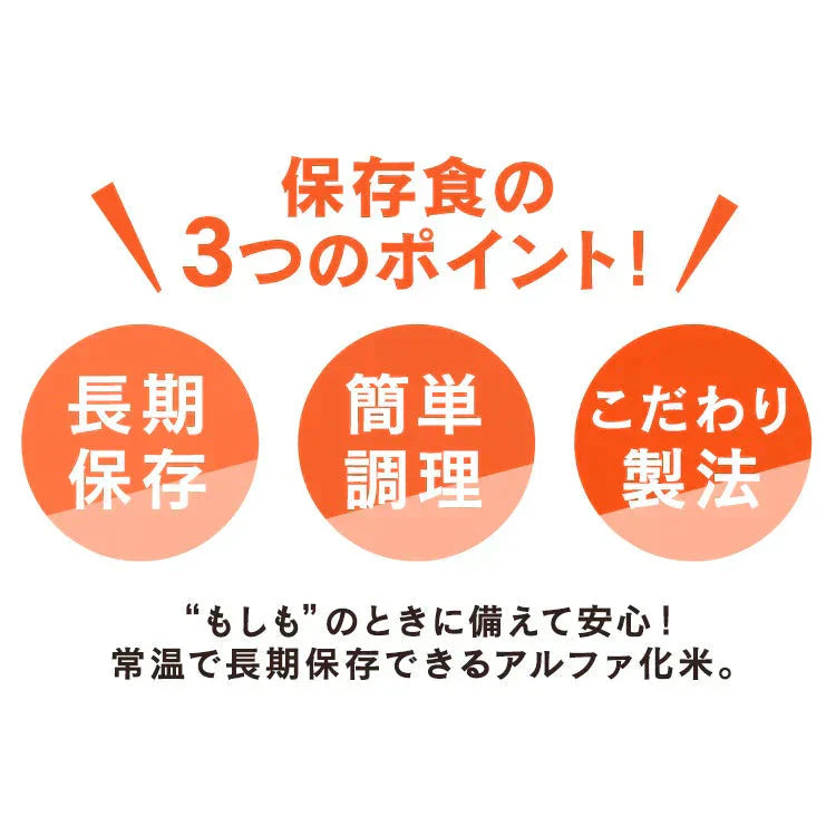 【カートアップNG】【5年保存】アイリスフーズ アルファ化米 10食分(ドライカレー)