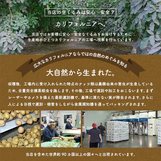 700g 生くるみ 無添加 無塩  （350g×2袋） 送料無料
