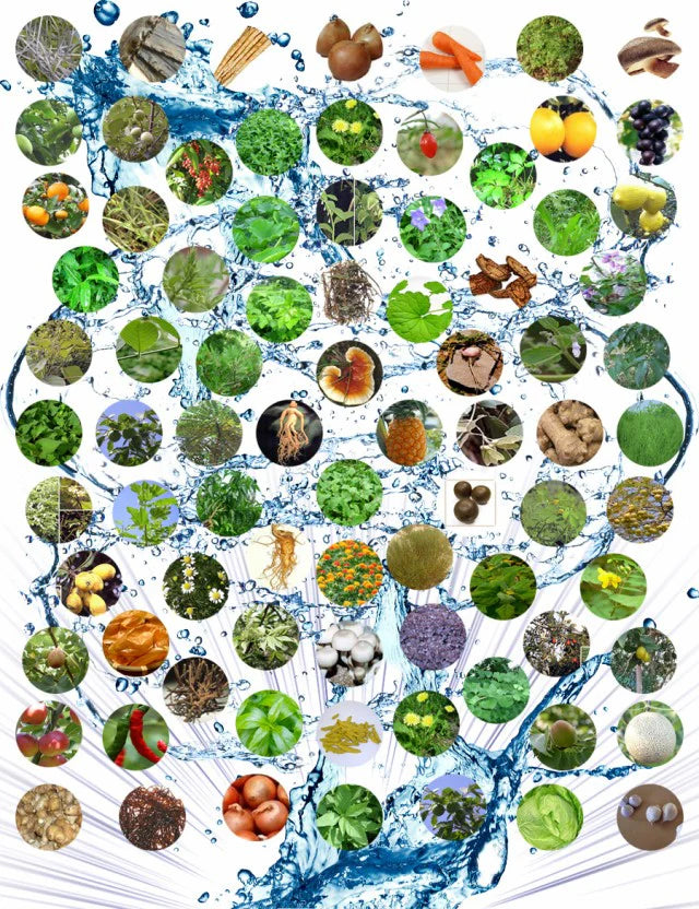 野草酵素《約1ヶ月分》酵素サプリ/サプリ/酵素ダイエット/サプリ/酵素サプリメント/ダイエット サプリ/ダイエット 酵素/【カウシェファーム収穫対象商品】