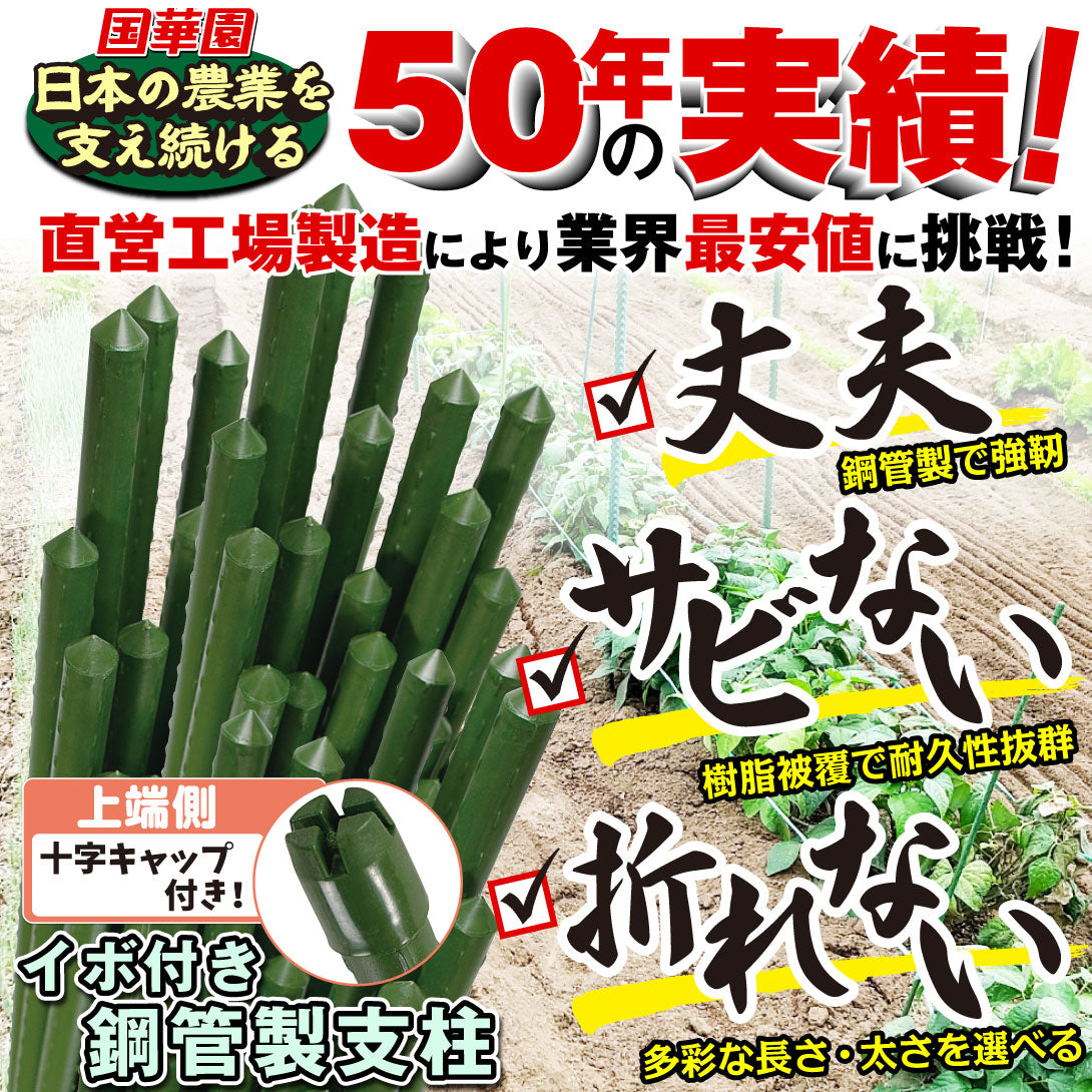 国華園 イボ付鋼管製支柱スーパー 直径8mm・長さ120cm 50本１組 グリーン 園芸支柱 家庭菜園 イボ竹