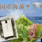【在庫処分特価】4種の国産海藻サラダ50g 【賞味期限：2025年1月31日】
