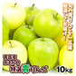 特選 青りんご 10kg 品種おまかせ  青森産 ご家庭用【10月上旬発送】
