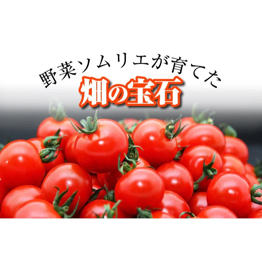 【特別栽培農産物】ソムリエミニトマト　プラチナ　１ｋｇ（約６０～９０玉）