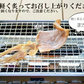 ＜国産するめ100g＞ あたりめ
