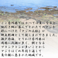 瀬戸内 国産  はも 豆あじ 南蛮漬け 合計６食セット 瀬戸内海 鯵 鱧 漬け魚 調理済み 酢漬け 三杯酢 ちょい足し 時短料理 ハモ　冷蔵便