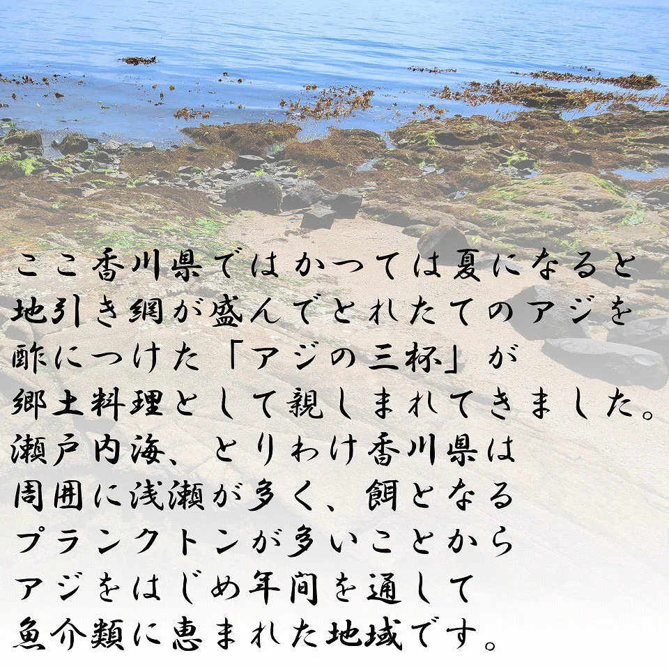 瀬戸内 国産  はも 豆あじ 南蛮漬け 合計６食セット 瀬戸内海 鯵 鱧 漬け魚 調理済み 酢漬け 三杯酢 ちょい足し 時短料理 ハモ　冷蔵便