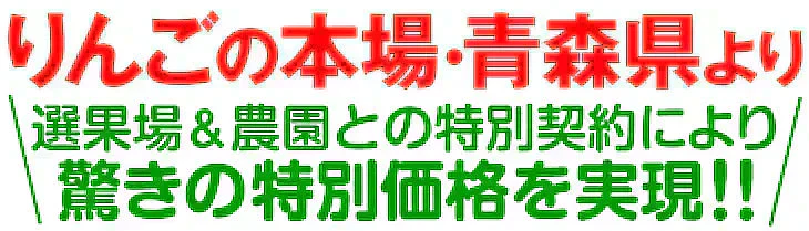りんご サンふじ 青森産 5kg ご家庭用