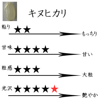 米 三重県伊賀産 キヌヒカリ 白米 18kg ヒラキファーム 令和5年産