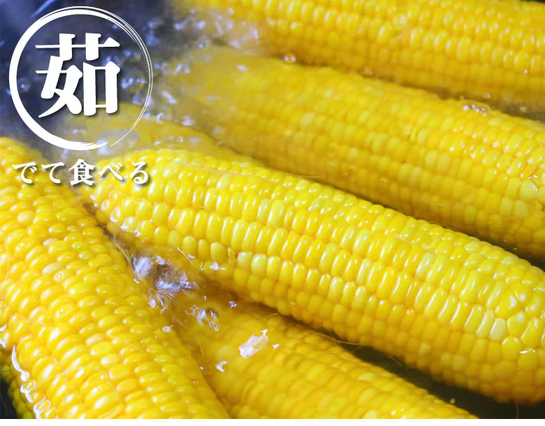 とうもろこし ゴールドラッシュ 送料無料 3.5～4kg 《クール便でお届け》 九州産 味来 極甘フルーツコーン スイートコーン 野菜