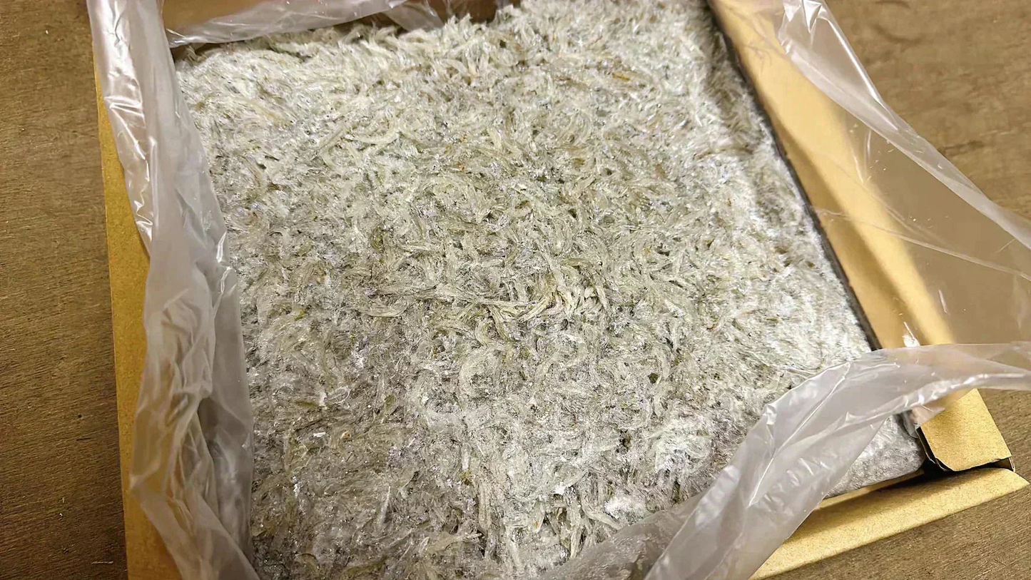 【数量限定特価！】特選 釜揚げしらす 1kg 特大サイズ  [冷凍]/冷凍クール便