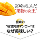 宮崎県産 完熟マンゴー マンゴー 2玉 化粧箱入り (Mサイズ:約240g～約309g) 送料無料 健康 ギフト プレゼント フルーツ 食べ物 贈答 旬の果物 贈答用