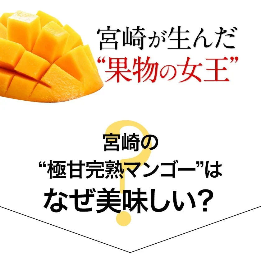 宮崎県産 完熟マンゴー マンゴー 2玉 化粧箱入り (Mサイズ:約240g～約309g) 送料無料 健康 ギフト プレゼント フルーツ 食べ物 贈答 旬の果物 贈答用