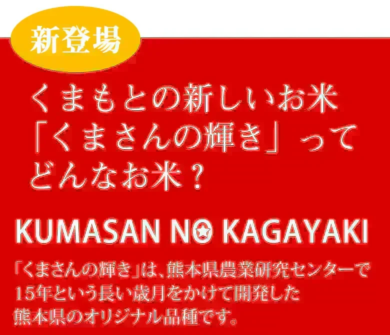 米 くまさんの輝き 【無洗米300g】 白米 送料無料  お試し 令和7年産 熊本県産 お米 白米 玄米 コシヒカリ ヒノヒカリ 森のくまさん